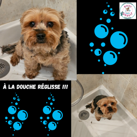 à la douche réglisse !!!