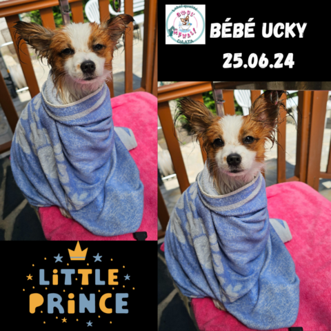 bébé ucky 25.06.24