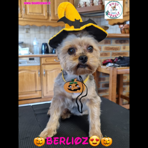 berlioz2