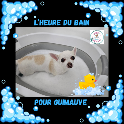 l’heure du bain