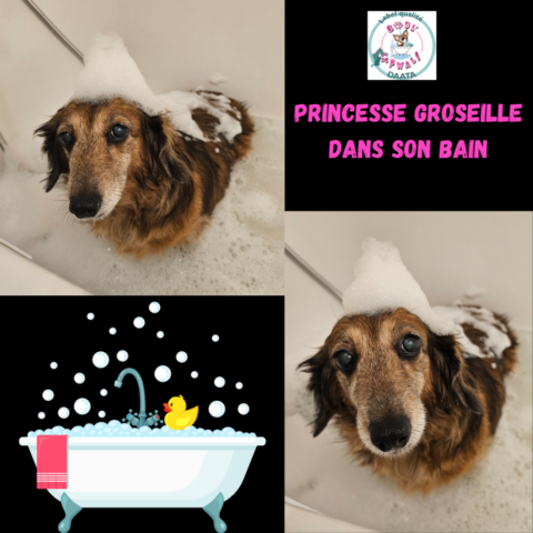 princesse groseille dans son bain