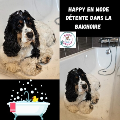 happy en mode détente dans la baignoire
