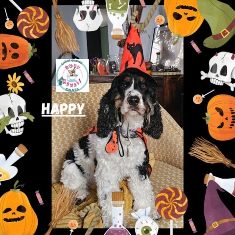 happy4