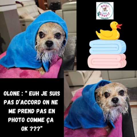 olone “ euh je suis pas d’accord on ne me prend pas en photo comme ça ok ”
