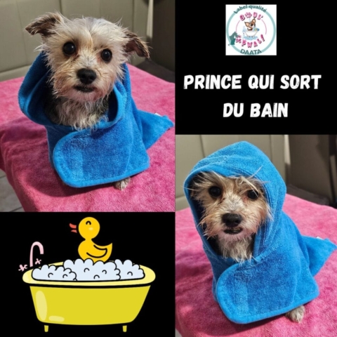 prince qui sort du bain