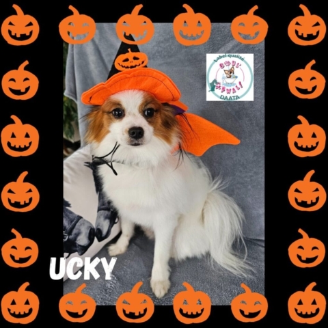ucky2